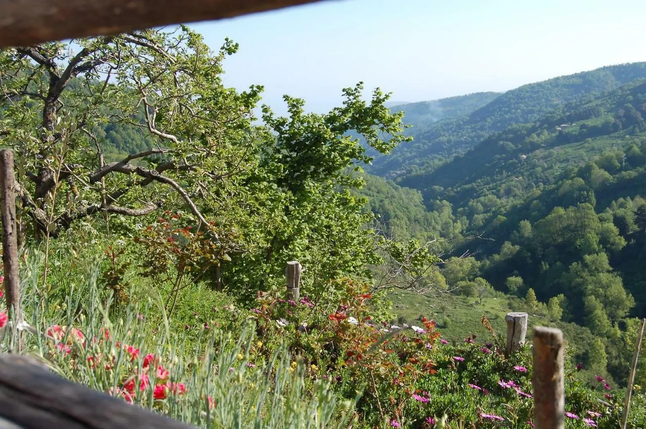 Villa Agriturismo Il Capitano Floresta Bauernhof