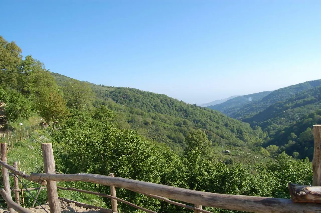 Villa Agriturismo Il Capitano Floresta