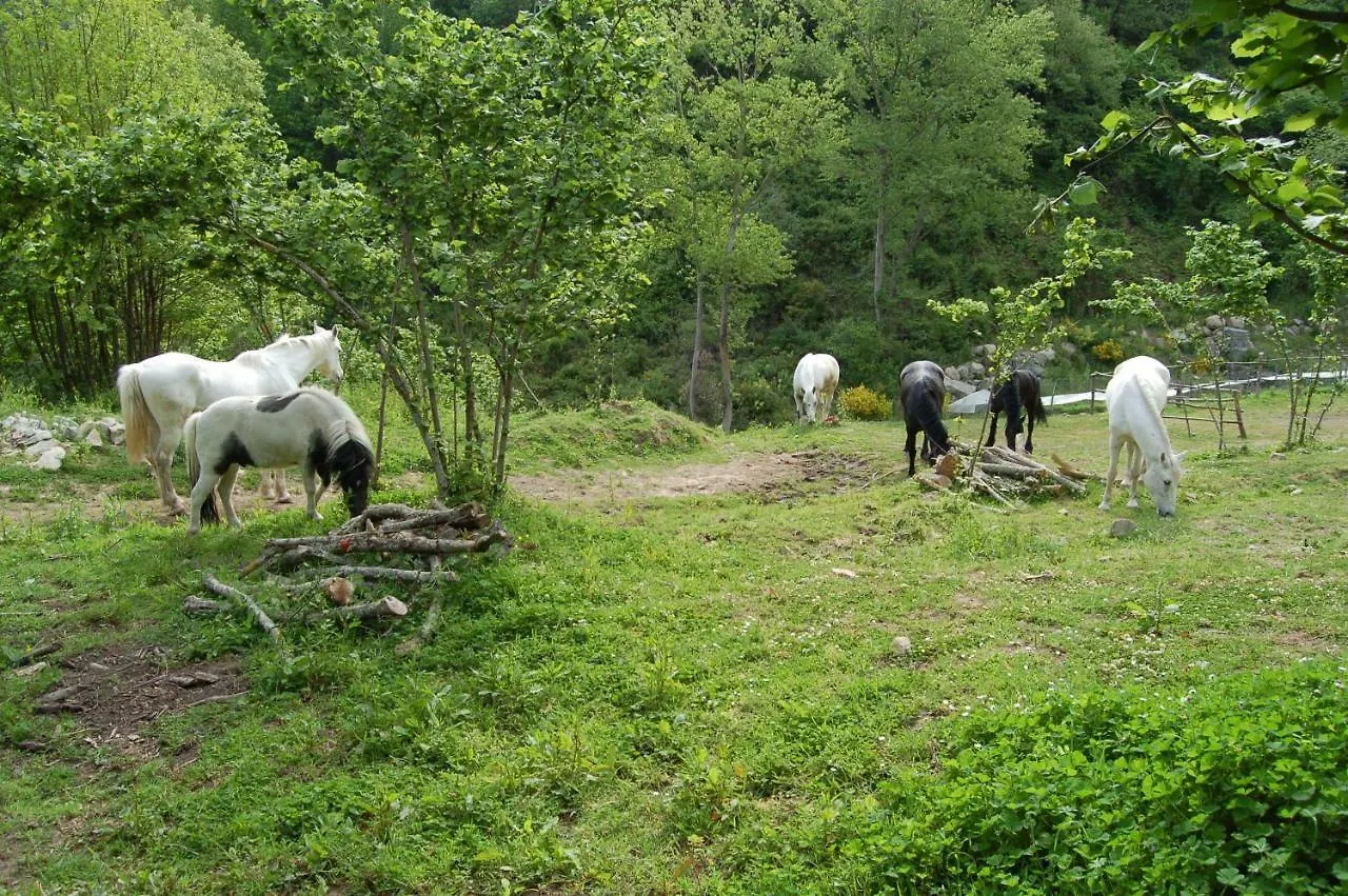 Agriturismo Il Capitano Villa Floresta 0*,  Italia