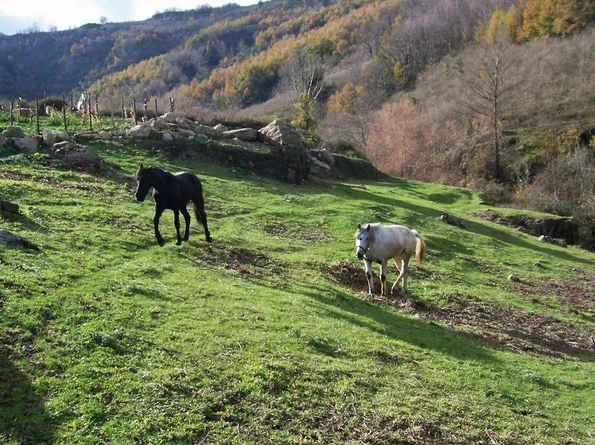 Agriturismo Il Capitano Villa Floresta Italia